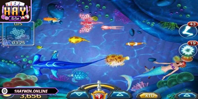 Hệ thống cung cấp nhiều sản phẩm cho bạn chinh phục