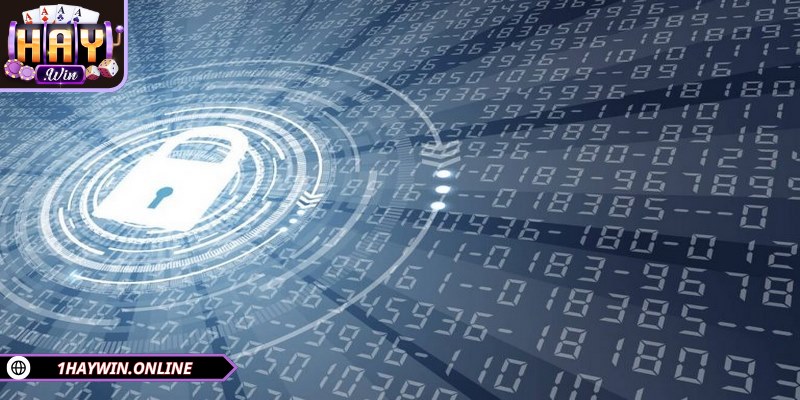 HAYWIN ứng dụng công nghệ mã hóa SSL tiên tiến