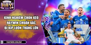 Kinh nghiệm chọn kèo HAYWIN chuẩn xác: Bí kíp luôn thắng lớn