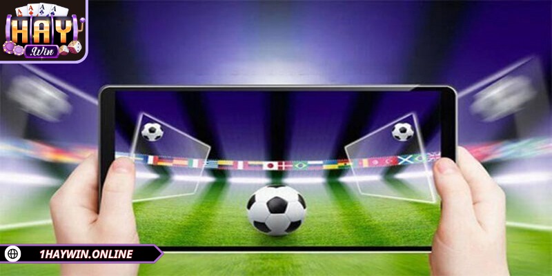 Cá cược bóng đá tại HAYWIN thu hút đông đảo thành viên