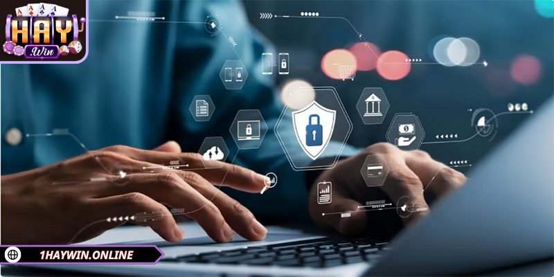 HAYWIN thường xuyên hợp tác với các tổ chức an ninh mạng quốc tế