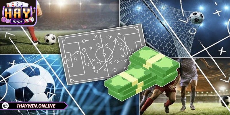 Saba Sports tại HAYWIN được yêu thích