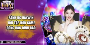 Sảnh DG HAYWIN - Nơi tập hơn game sòng bạc đỉnh cao