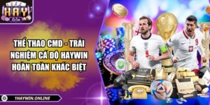 Thể thao CMD - Trải nghiệm cá độ HAYWIN hoàn toàn khác biệt