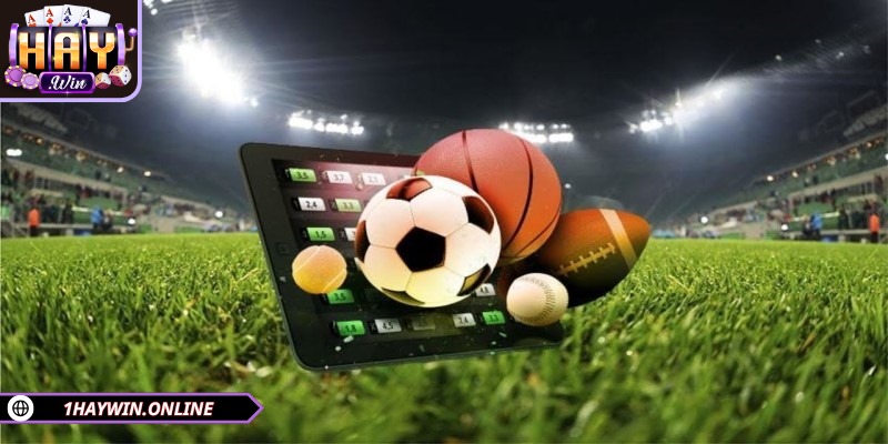 Thể thao HAYWIN đứng đầu trong lĩnh vực cá cược trực tuyến