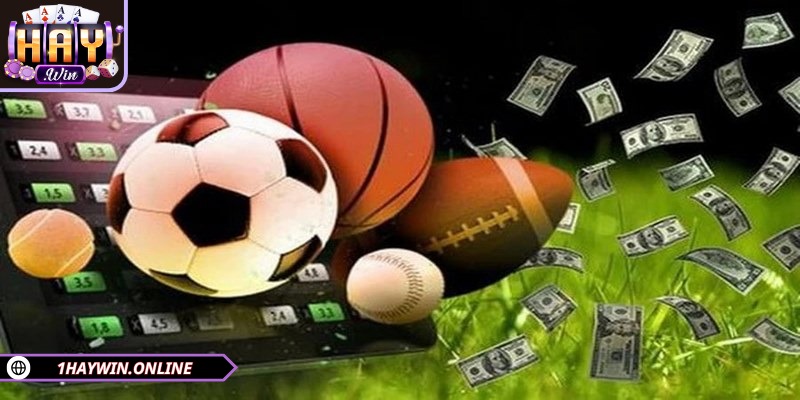 Sảnh tổ chức cá cược nhiều bộ môn thể thao khác nhau