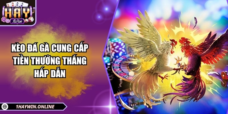 Kèo đá  gà cung cấp tiền thưởng thắng hấp dẫn