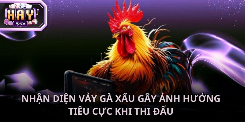 Cách xem vảy gà tốt xấu giúp người chơi tránh được tình trạng hao tổn tiền bạc