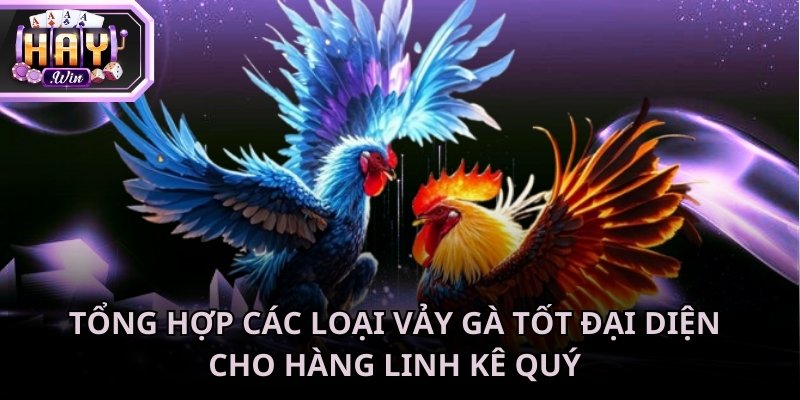 Cách xem vảy gà tốt xấu để nhận diện những chiến kê tốt nhất 2026