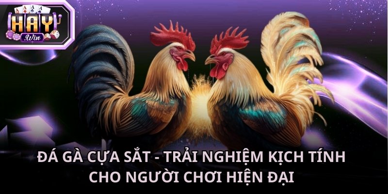 Đá gà cựa sắt