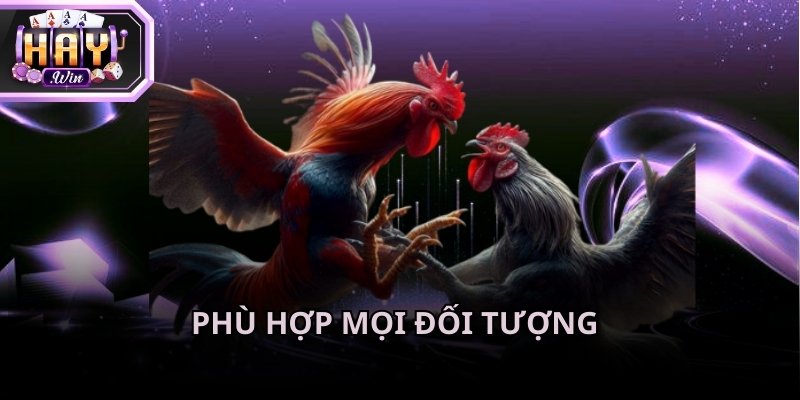 Quy luật tham gia đơn giản giúp những người mới bắt đầu dễ dàng làm quen