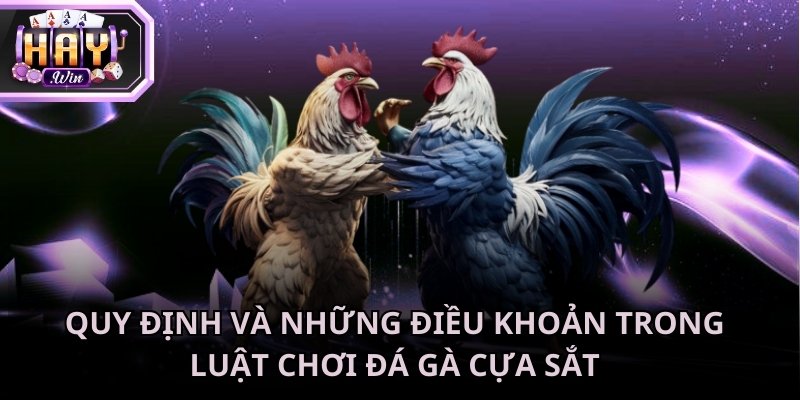 Quy tắc này được thiết lập nhằm đảm bảo sự minh bạch cho tất cả hội viên