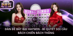 Dàn đề bất bại Haywin