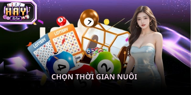 Tính toán về mặt thời gian và tiền bạc để trải nghiệm dàn đề bất bại Haywin