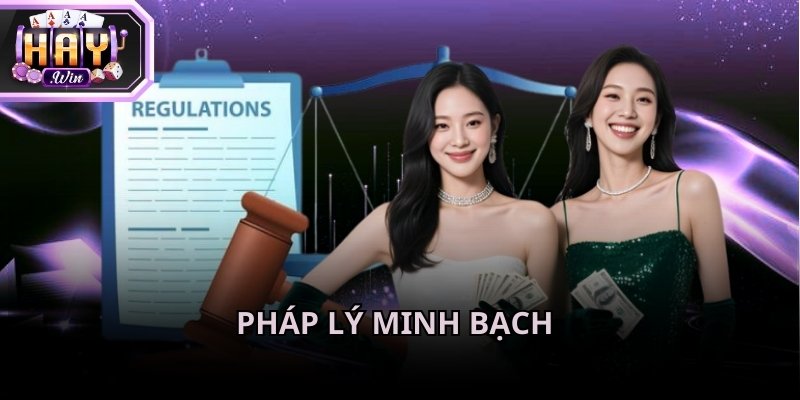 Người chơi có thể trực tiếp kiểm tra giấy phép công khai ngay trên trang chủ