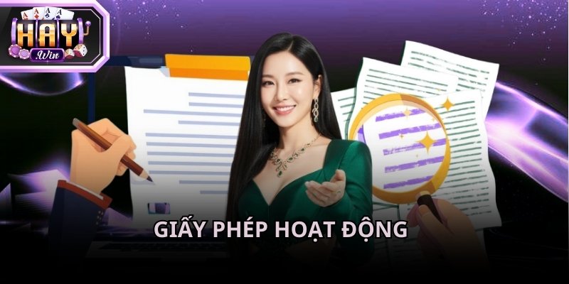 Tìm hiểu chi tiết giấy phép hoạt động để đánh giá Haywin có uy tín không