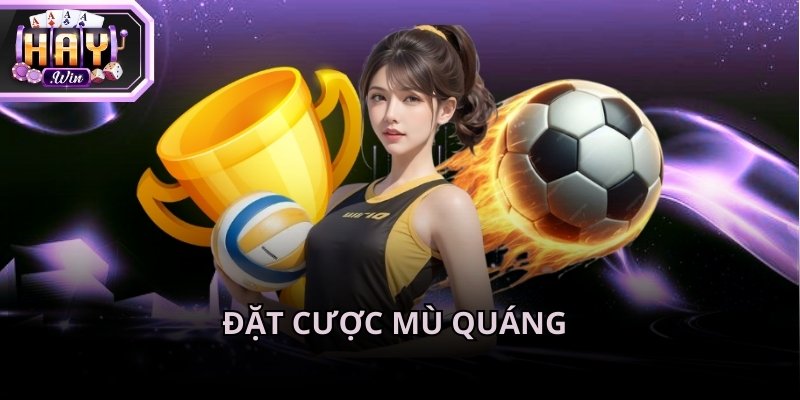 Quá tin tưởng vào các đội bóng danh tiếng khiến bạn chọn sai tỷ lệ kèo