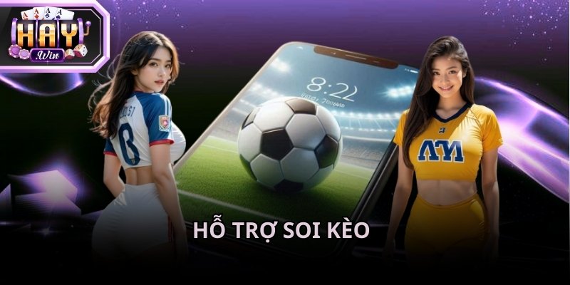 Website Haywin với giao diện tinh tế và hỗ trợ cho mọi thiết bị soi kèo